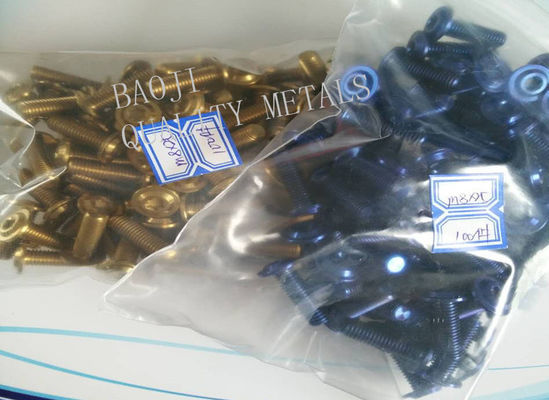 Anodized Gr2 Titanium Hex Bolt M6 30mm Size With Laser Logo OEM